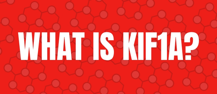 What Is KIF1A?