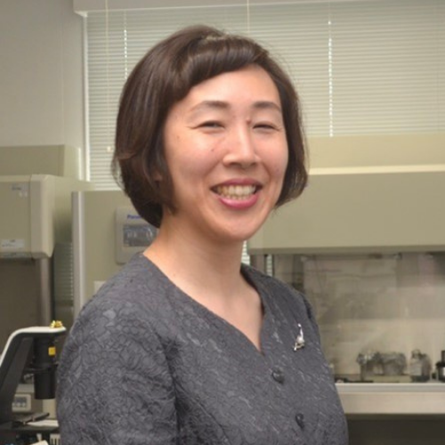 Dr. Kumiko Hayashi headshot